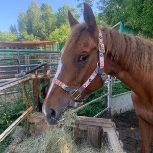 Meet your Posher, Kate